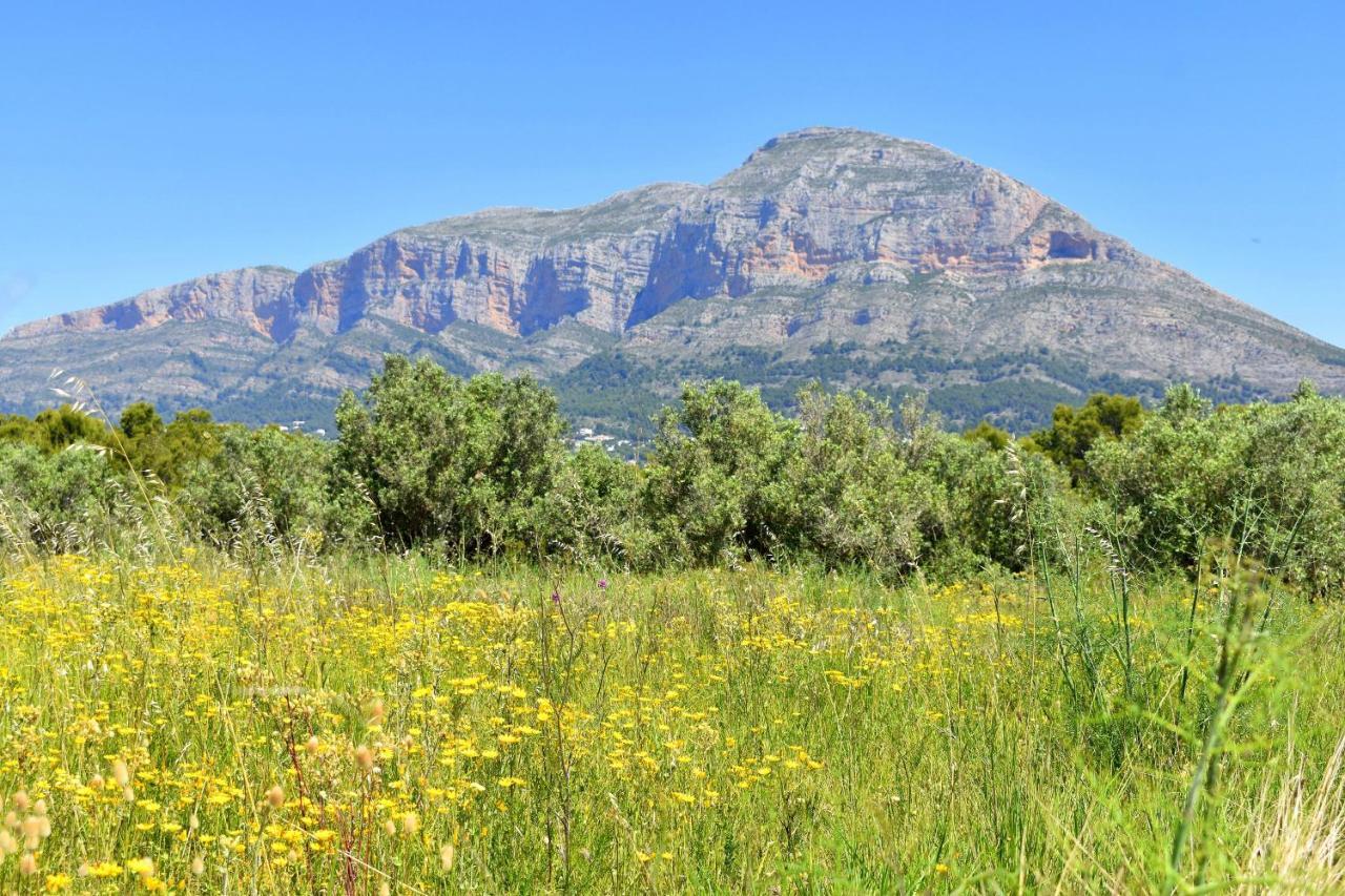 Apartamento Jardines Del Saladar Javea - 5038 Zewnętrze zdjęcie